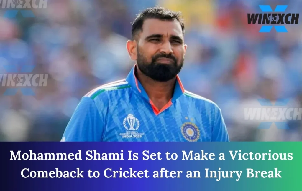 Comeback to Cricket after an Injury Break