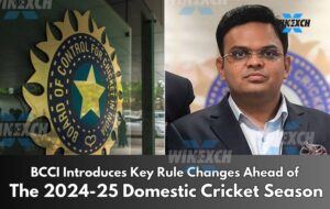 domestic cricket season