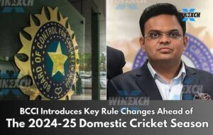 domestic cricket season