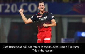 Josh Hazlewood will not return to the IPL