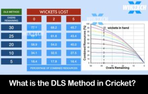 What is the DLS method